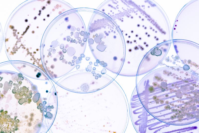 University of Liverpool scientists unveil Novltex, a powerful new antibiotic against superbugs