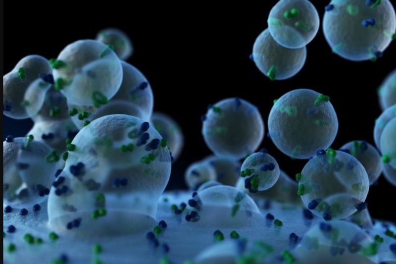 University trio awarded share of £1.7m for research to aid oral delivery of therapeutics