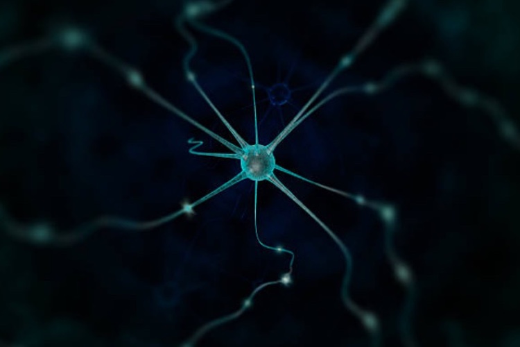 Urothelial cancer treatment gets breakthrough therapy designation