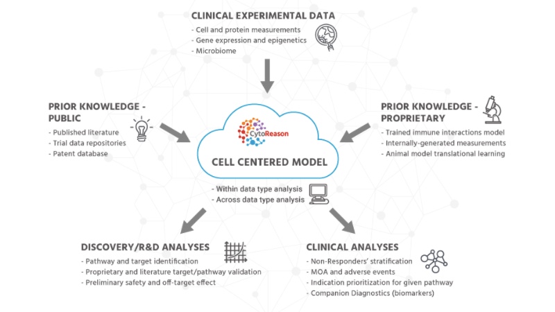 Using AI to personalise drug treatments