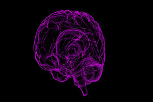 Vectura to provide development services for brain injury drug