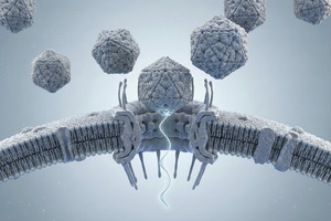 VIVEbiotech adds 15th in vivo programme to portfolio