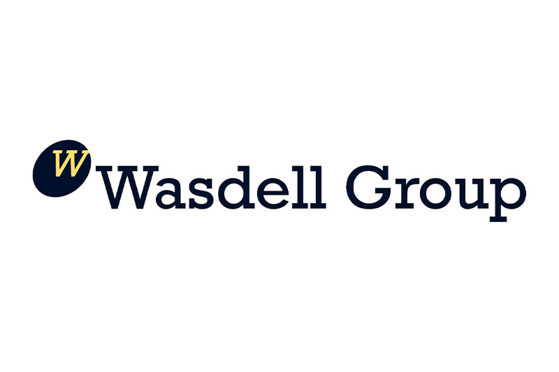 Wasdell Group