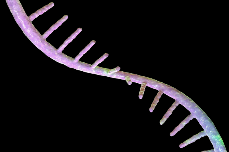 Waterfall Scientific heads $54.5m ARPA-H consortium to build continuous-flow mRNA manufacturing platform