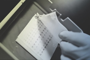 What to look for when choosing antibodies