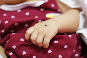 WHO prequalifies Novartis' antimalarial Coartem Baby for treatment of newborns and young infants