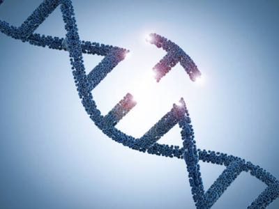 WHO proposes central registry on human genome editing research