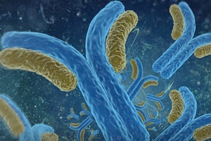 WuXi Biologics initiate construction of integrated ADC solution center