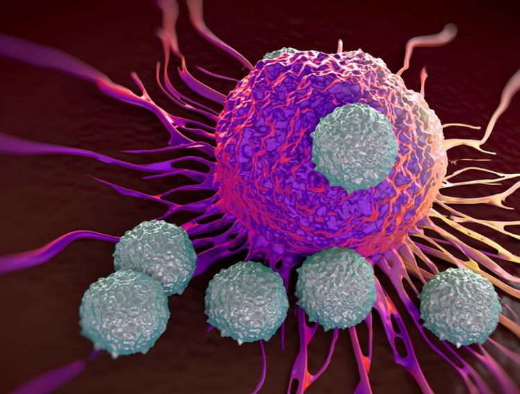 WuXi launches closed-process CAR-T cell therapy platform
