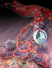 Yale scientists use nanogel to attack cancer tumours