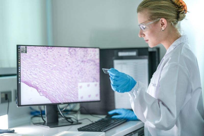 Zelluna receives positive MHRA feedback and advances UK clinical plans for ZI-MA4-1