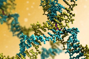 Zenas enters agreement to commercialise novel bi-functional antibody