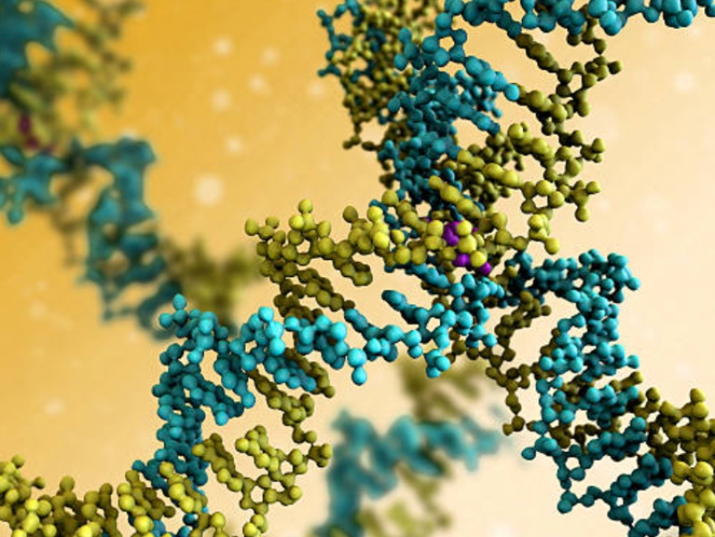 Zenas enters agreement to commercialise novel bi-functional antibody